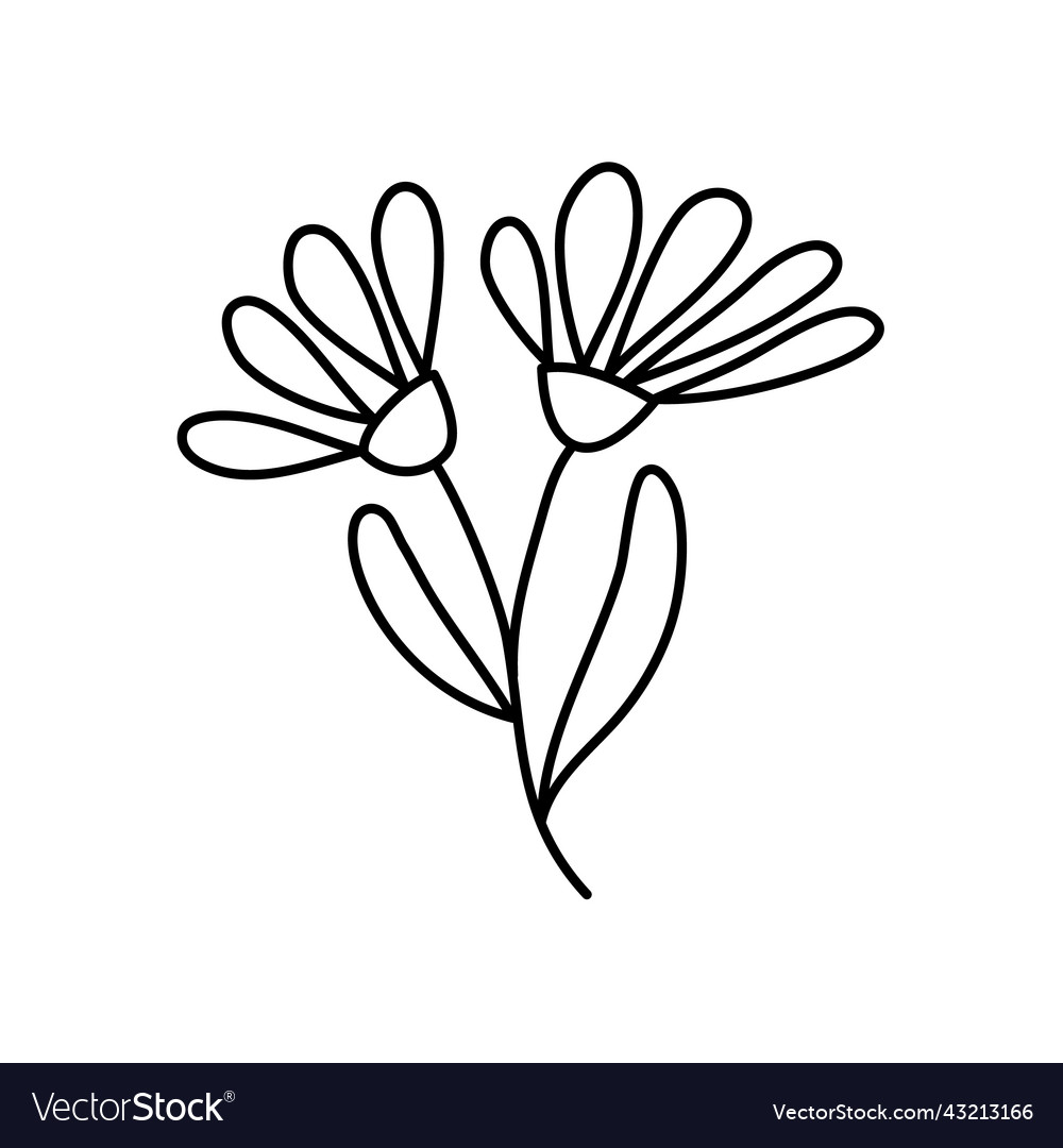 Simple botanical of two Royalty Free Vector Image