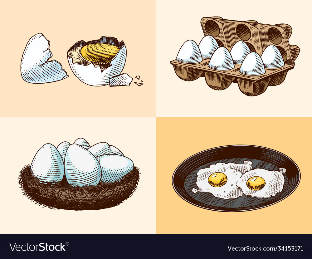 Frying pan with fried eggs and scrambled omelette Vector Image