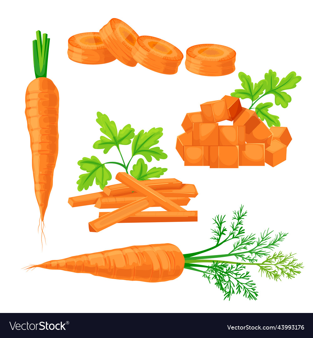 Carrot vegetable set cartoon Royalty Free Vector Image