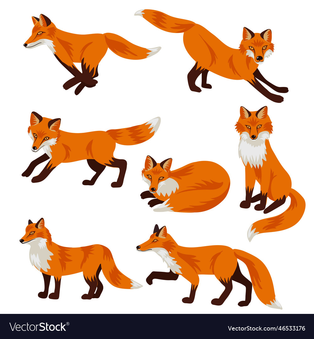 Drawing animals foxes Royalty Free Vector Image