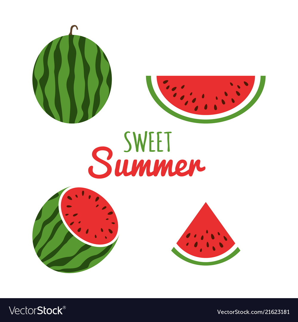 Juice watermelon set watermelon icon in a flat Vector Image