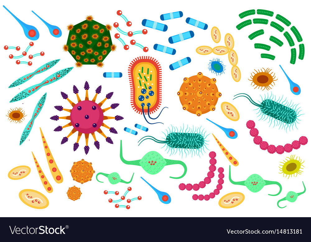 Virus bacteria icons set cartoon flat color Vector Image