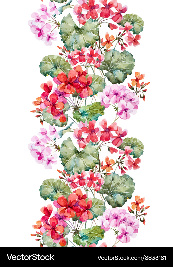 Watercolor geranium pattern Royalty Free Vector Image