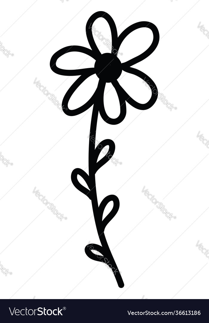 Flower with six petals on white background Vector Image