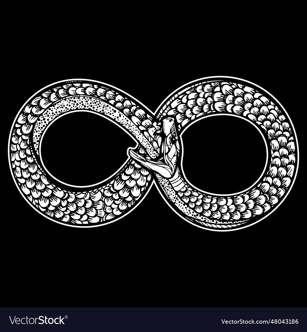 Infinite ouroboros Royalty Free Vector Image - VectorStock