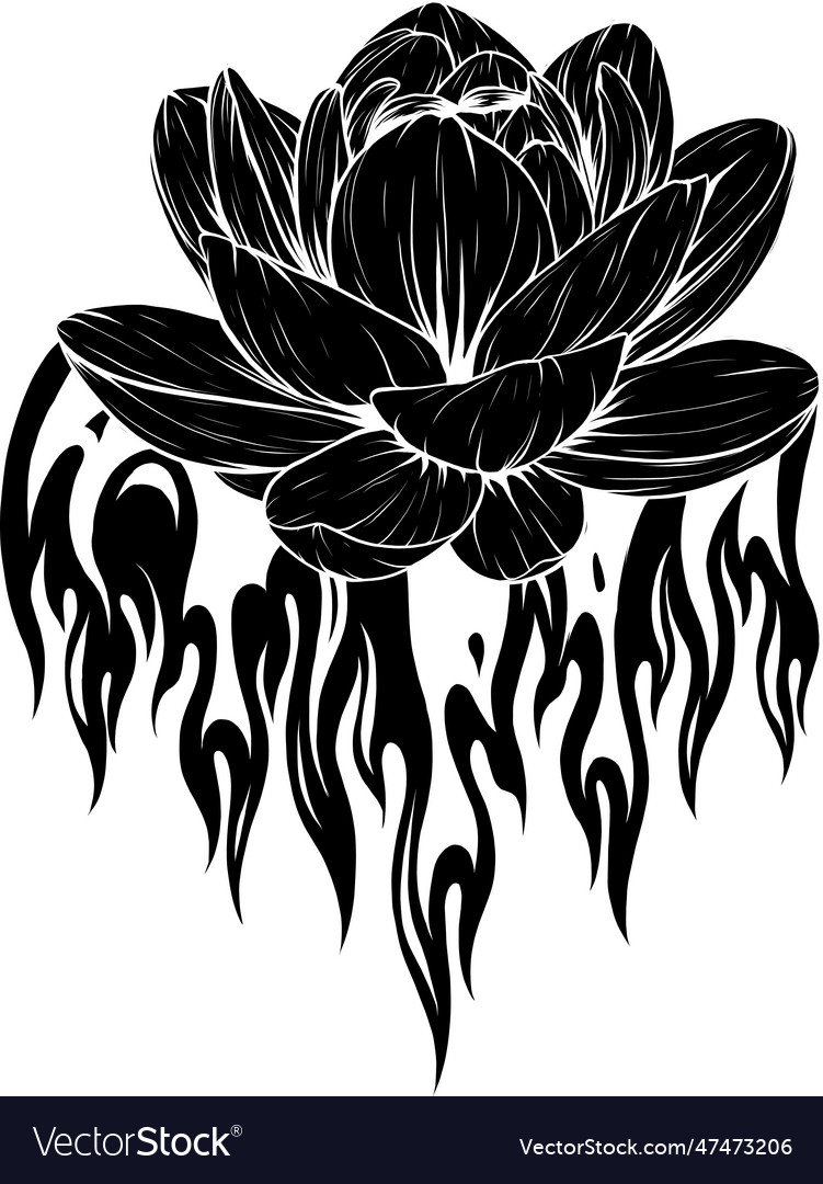 Black silhouette of water lily with flames Vector Image