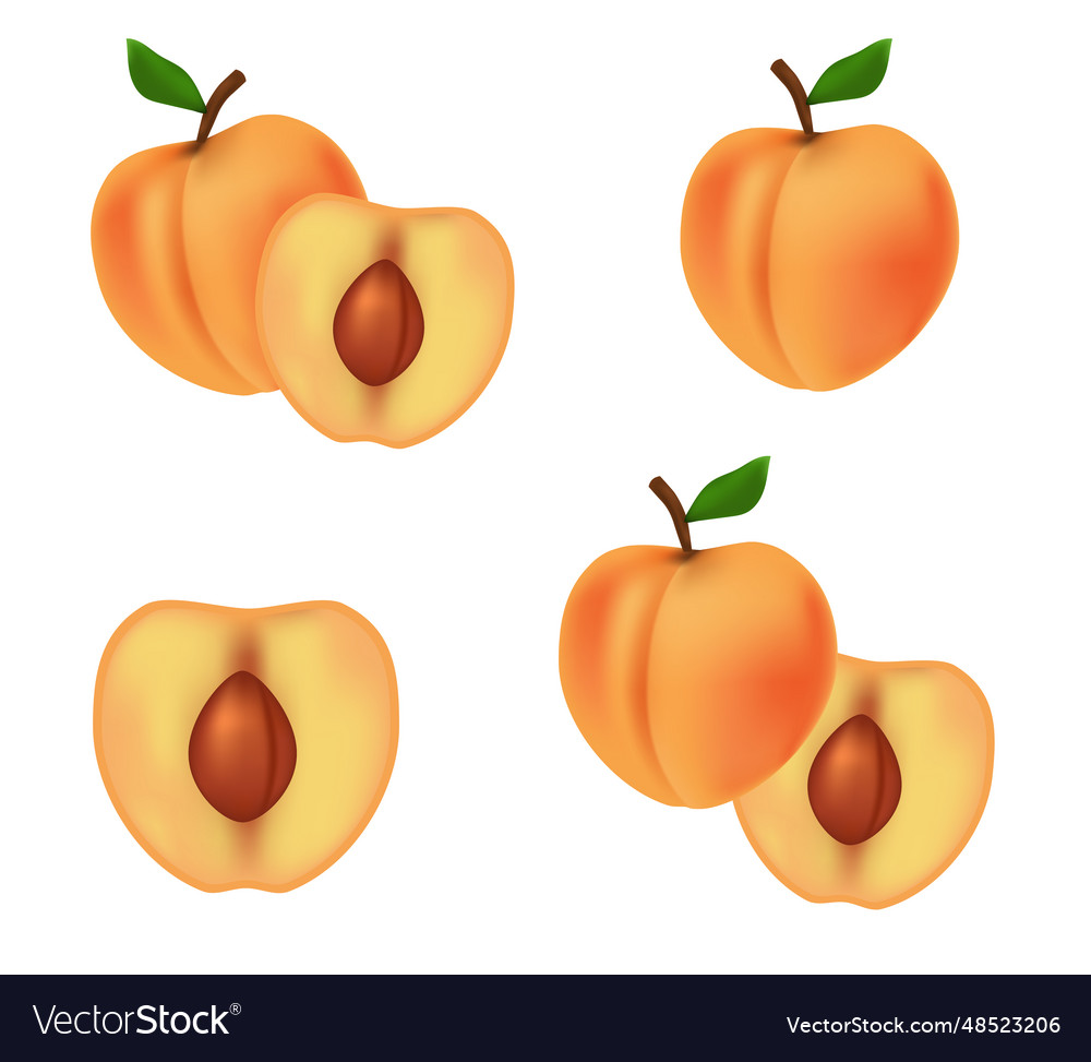 Set of peaches concept