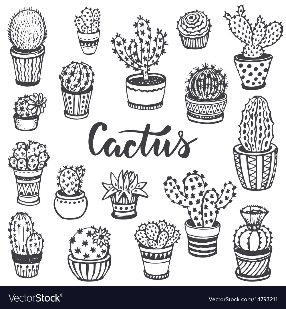 Collection of hand drawn cactus in sketch style Vector Image