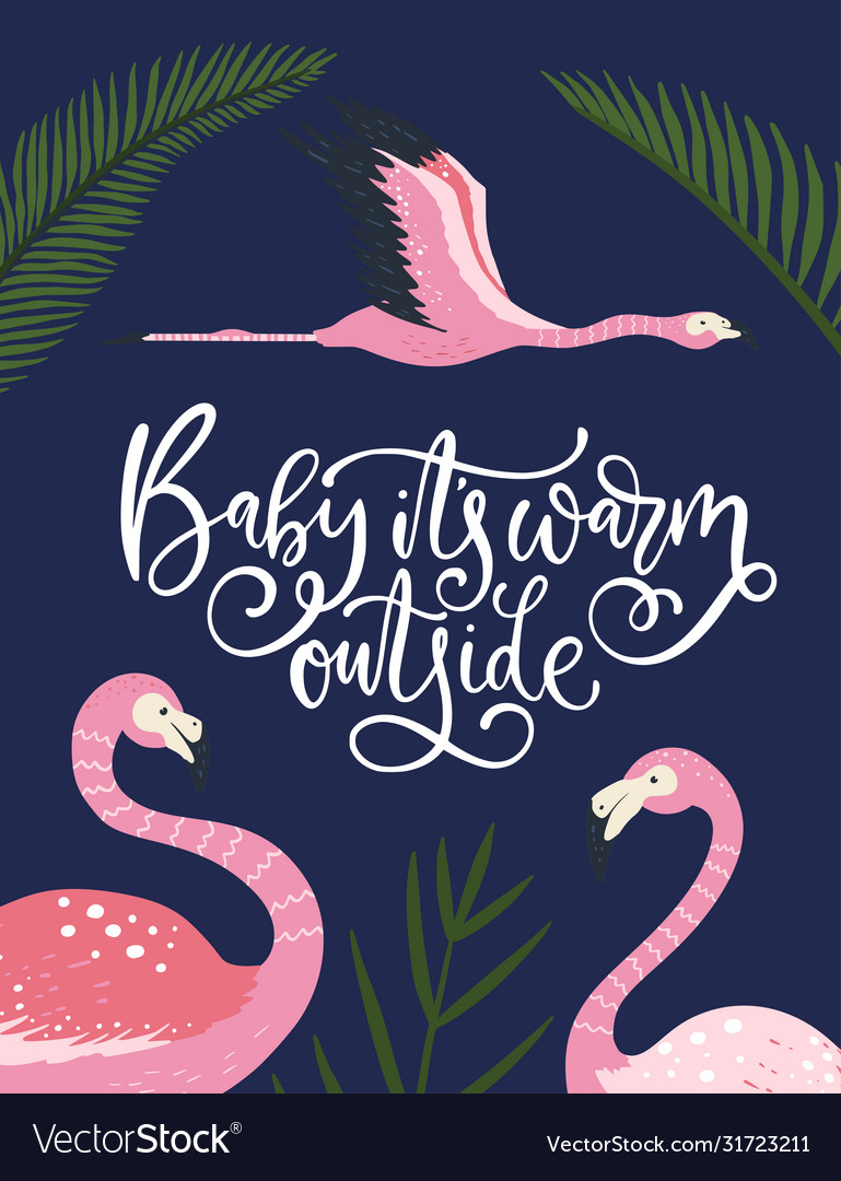 Flamingo bird card