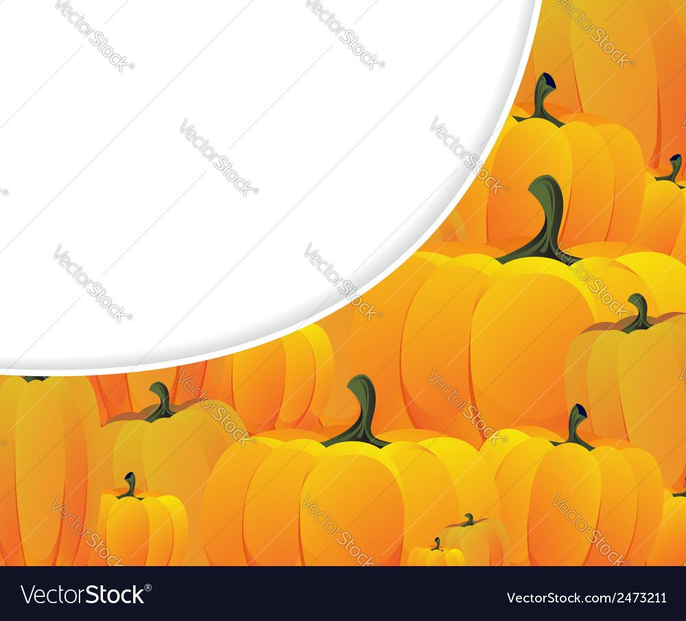 Ripe pumpkins Royalty Free Vector Image - VectorStock