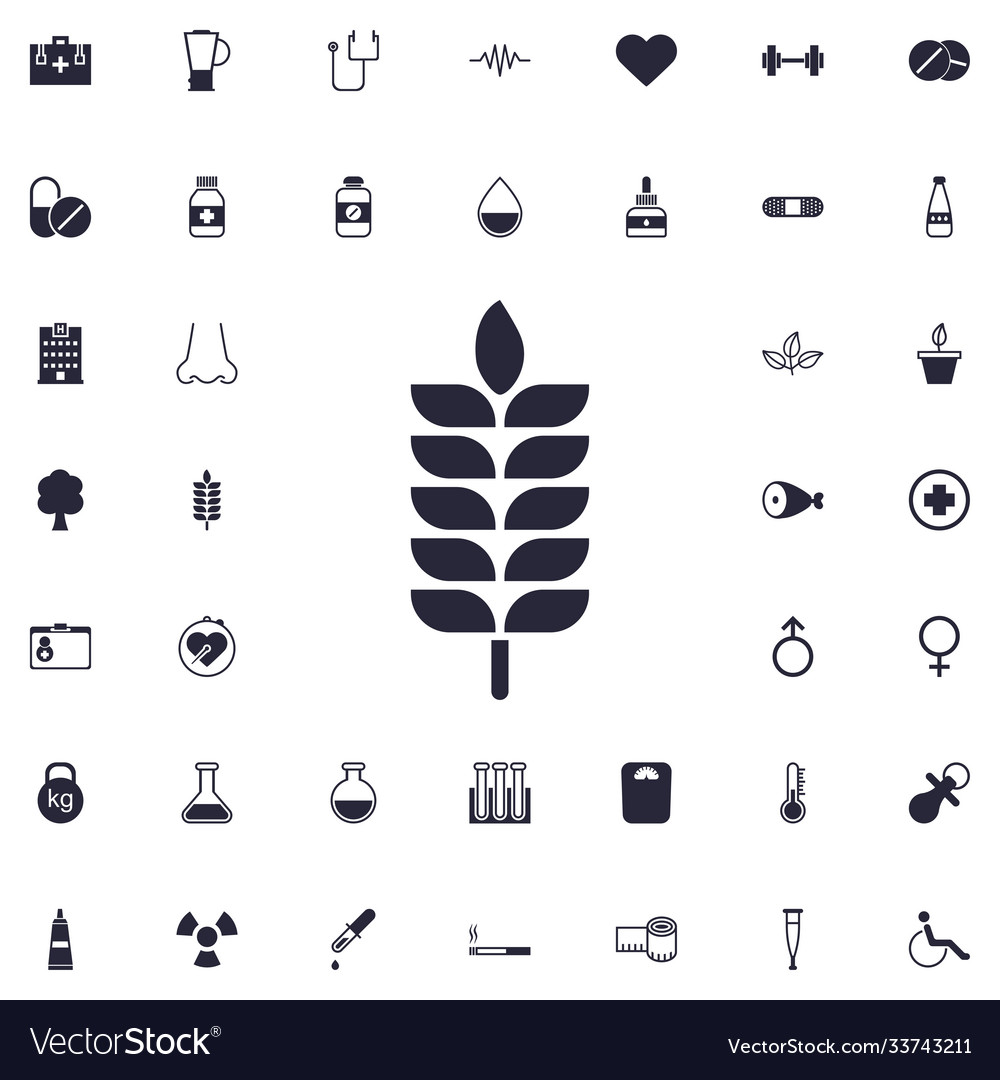 Wheat icon Royalty Free Vector Image - VectorStock