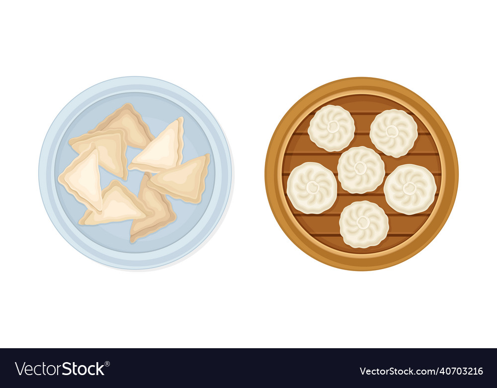 Set of dumplings made of dough stuffed with meat Vector Image
