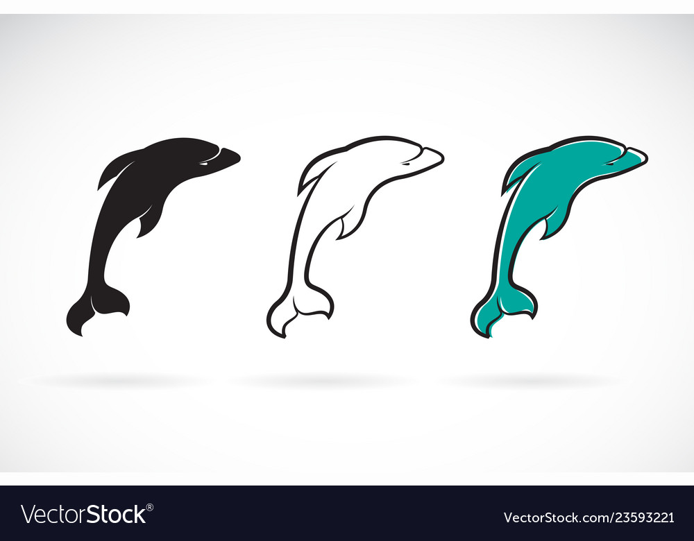Dolphin design on a white background sea animals vector image Dolphin design on a white background sea animals
