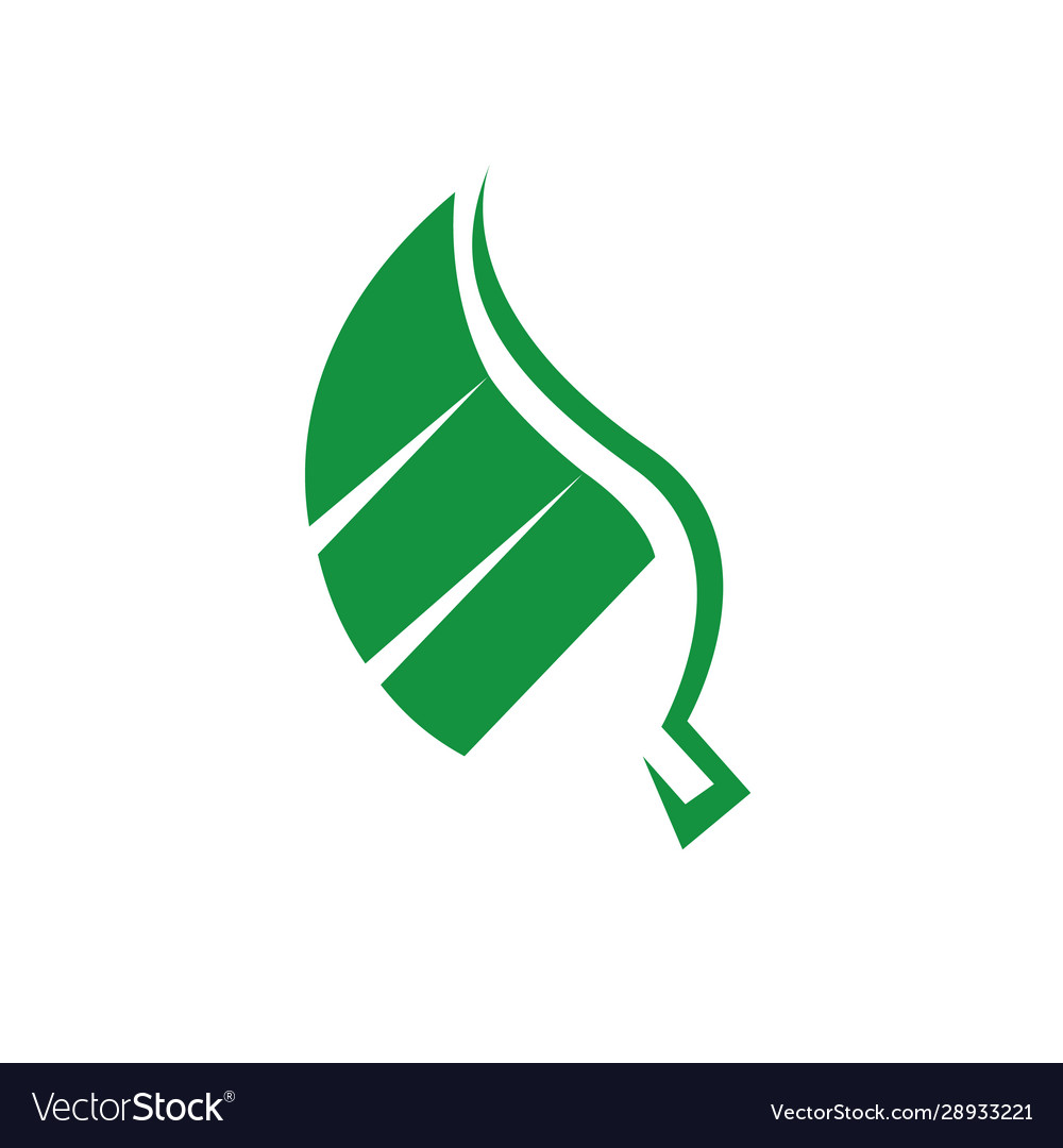 Modern nature green leaf logo design elements