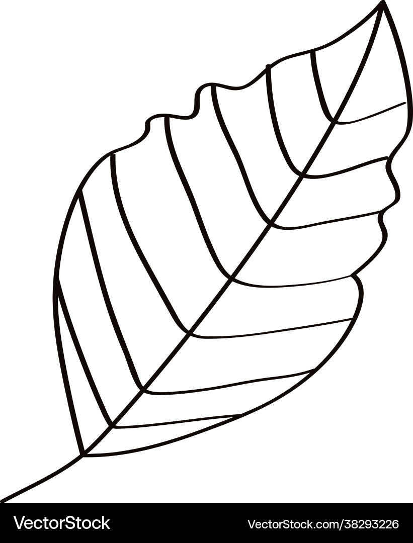 Leaf nature icon Royalty Free Vector Image - VectorStock