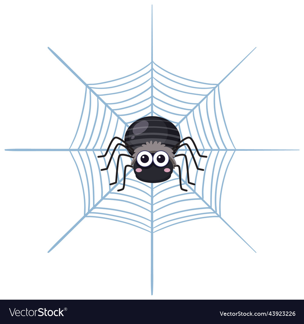 Spider web design Royalty Free Vector Image - VectorStock