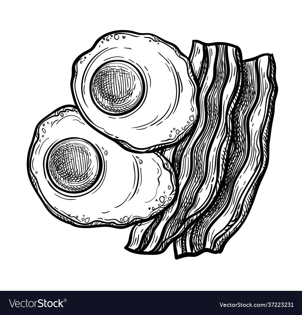 Gourmet Fried Eggs Drawing Illustration PNG Images