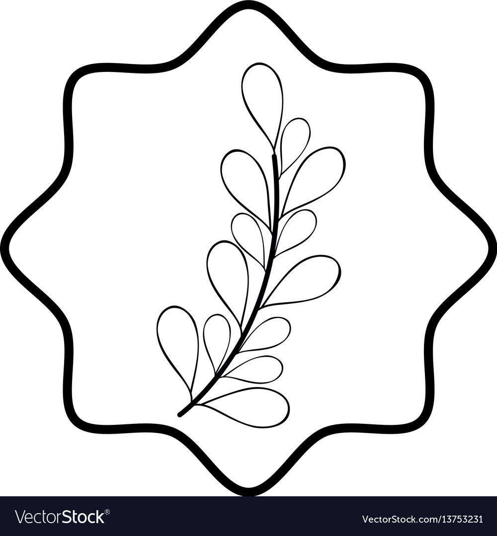 Rustic branches plants decoration Royalty Free Vector Image