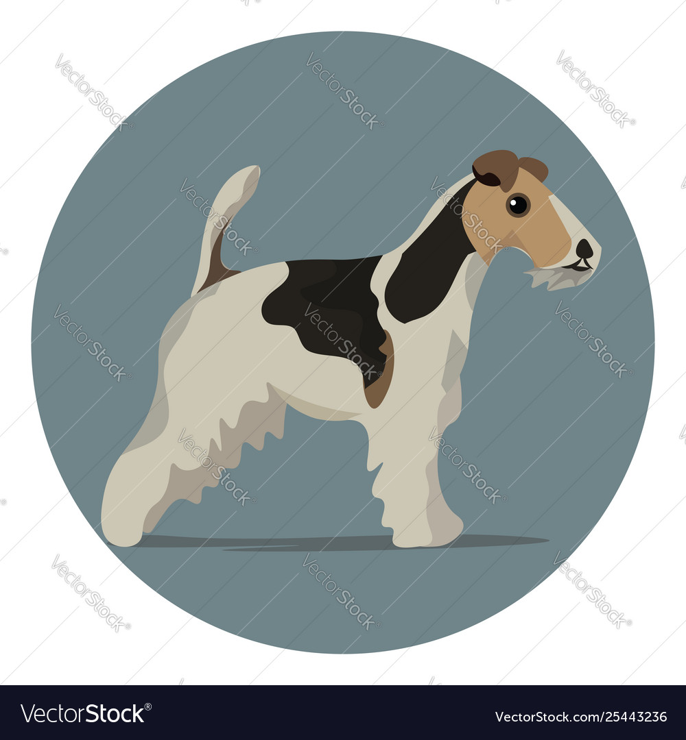 A color wire fox terrier dog Royalty Free Vector Image