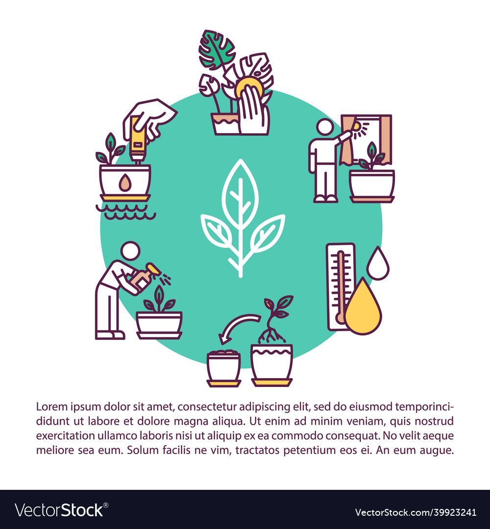 Houseplant care concept icon with text repotting