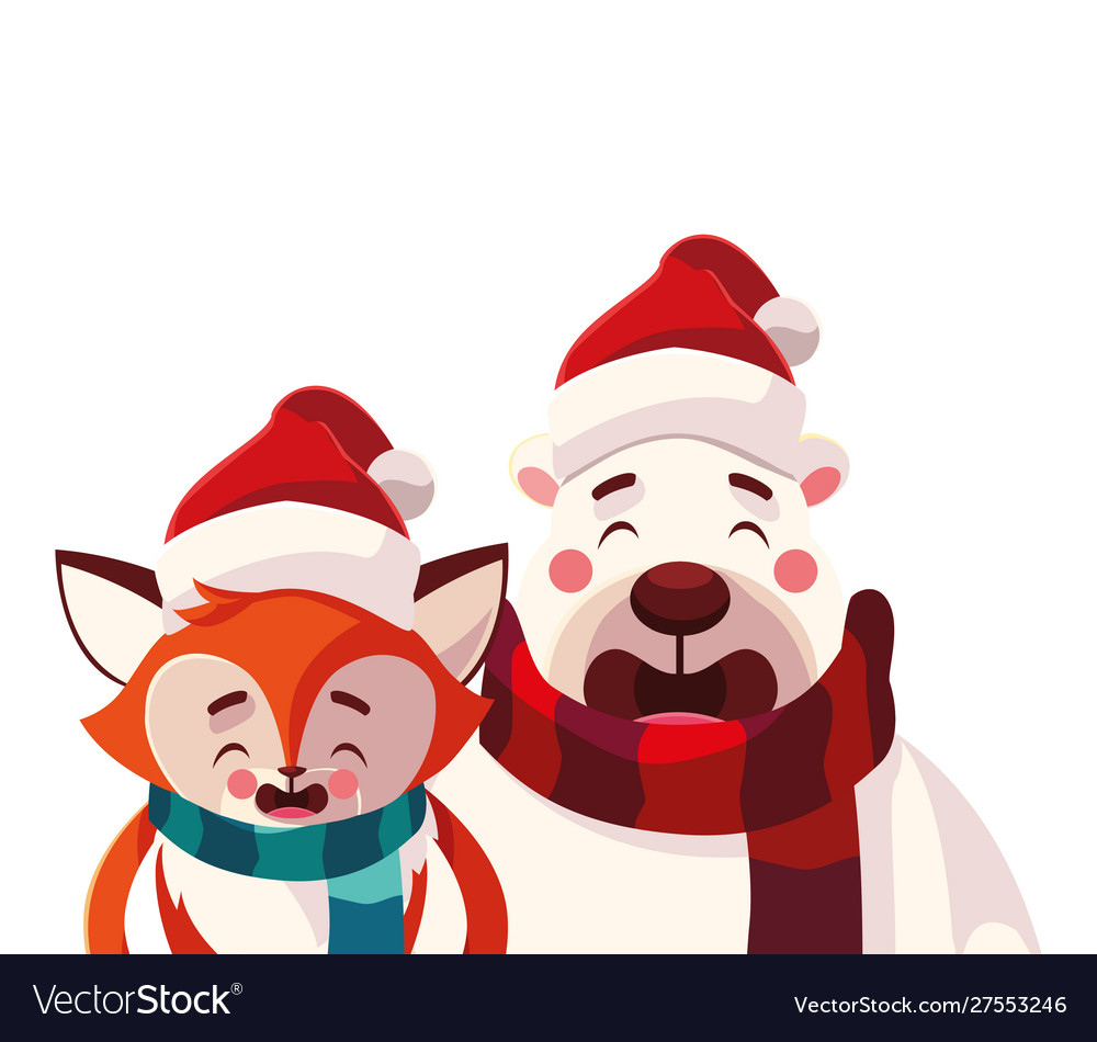 Polar bear and fox with hat in white background