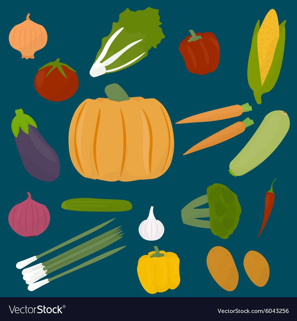 Collections of veggies Royalty Free Vector Image