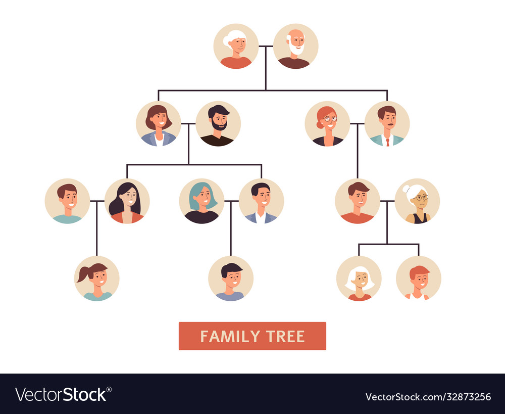 Family history tree symbol generations flat Vector Image