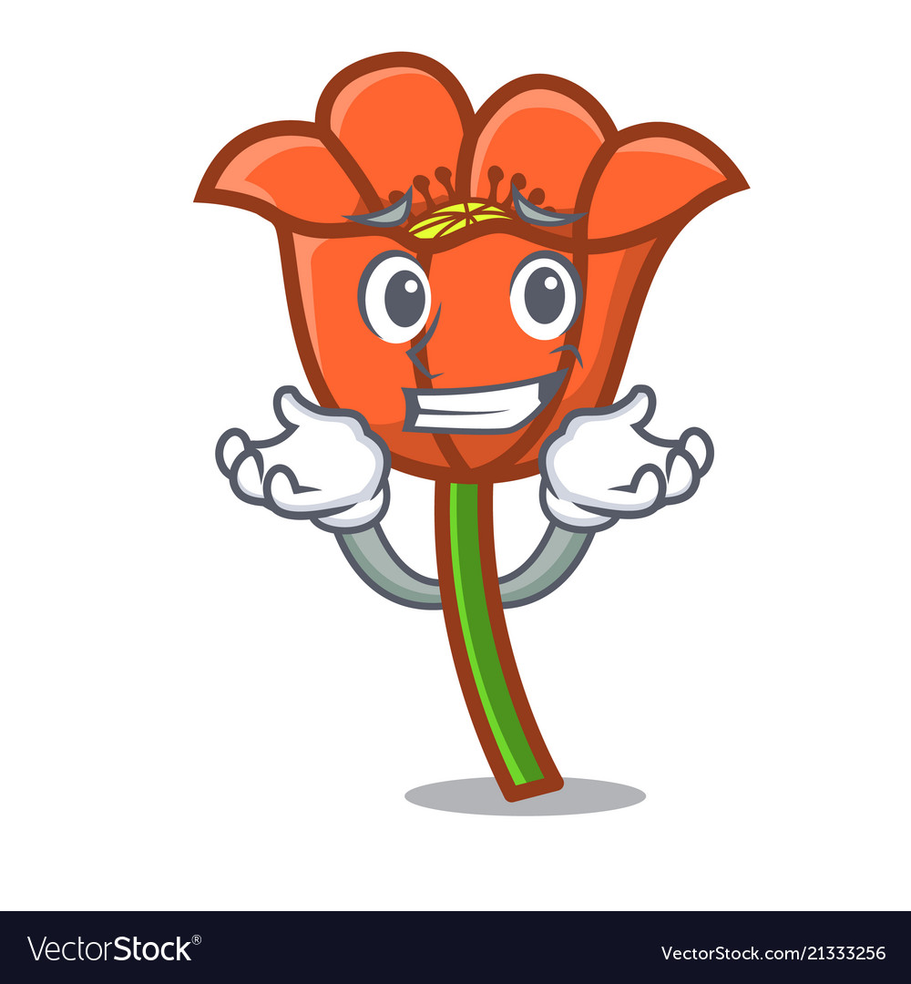 Grinning poppy flower character cartoon