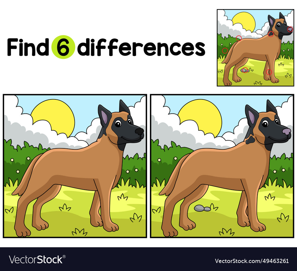 Belgian malinois dog find the differences vector image