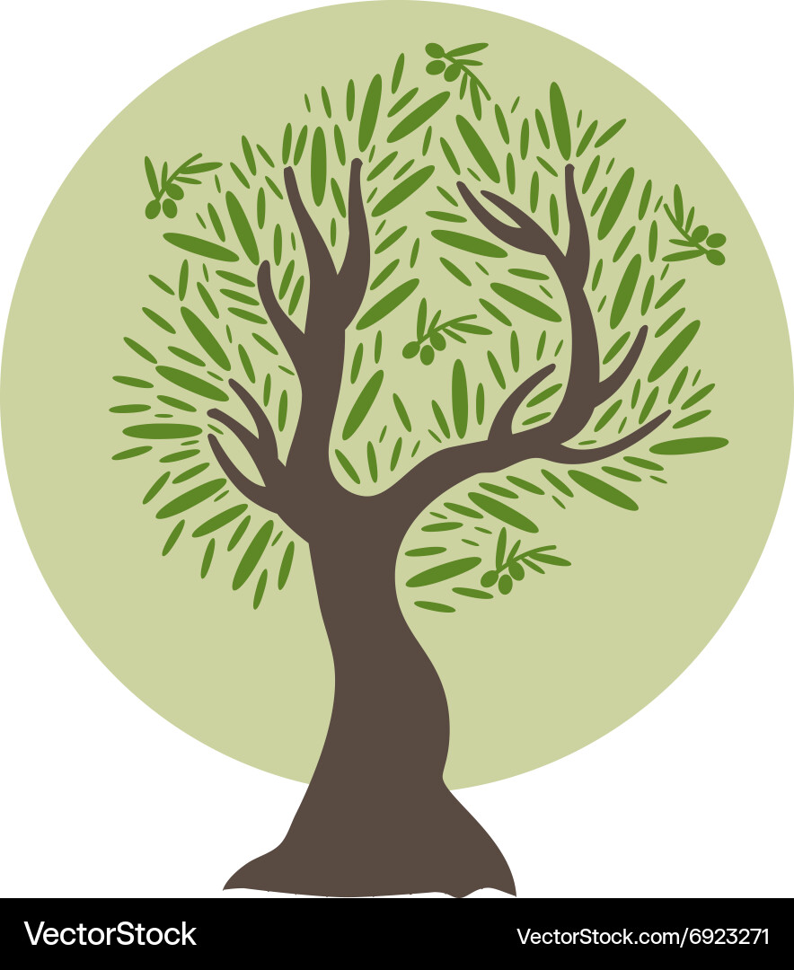 Flat olive tree Royalty Free Vector Image - VectorStock