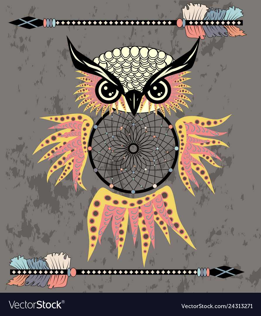 Hand drawn dreamcatcher with an owl feathers Vector Image