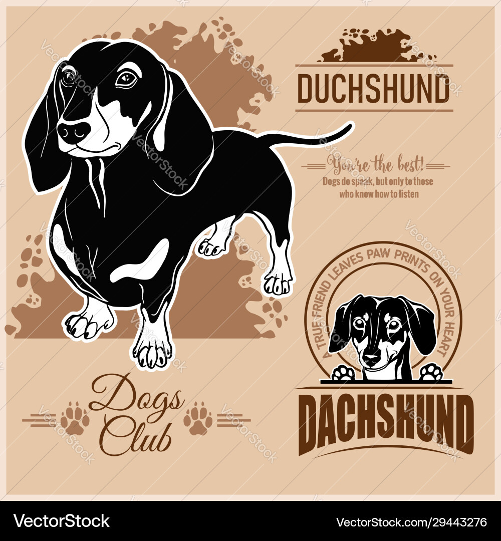 Dachshund set for tshirt logo Royalty Free Vector Image