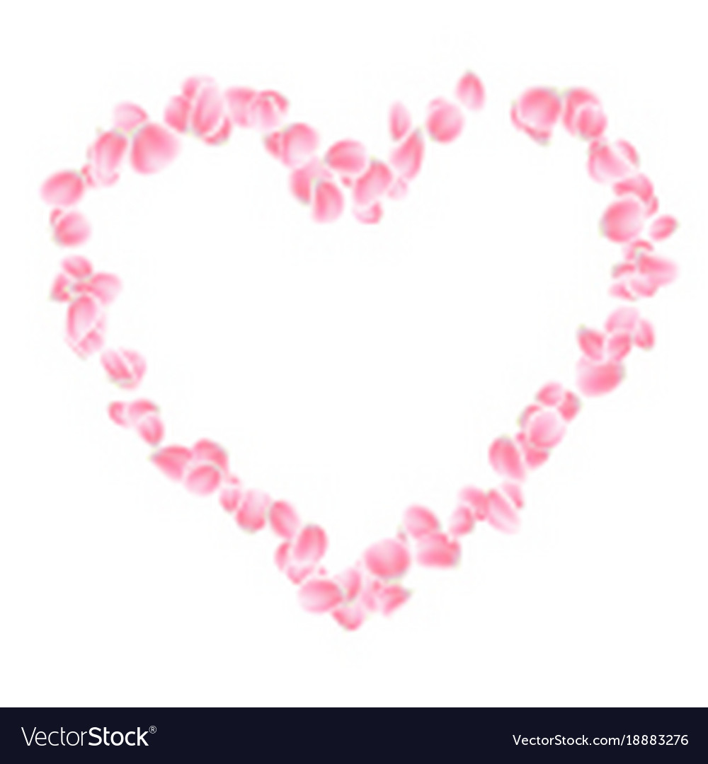 Pink petals heart isolated eps 10 Royalty Free Vector Image