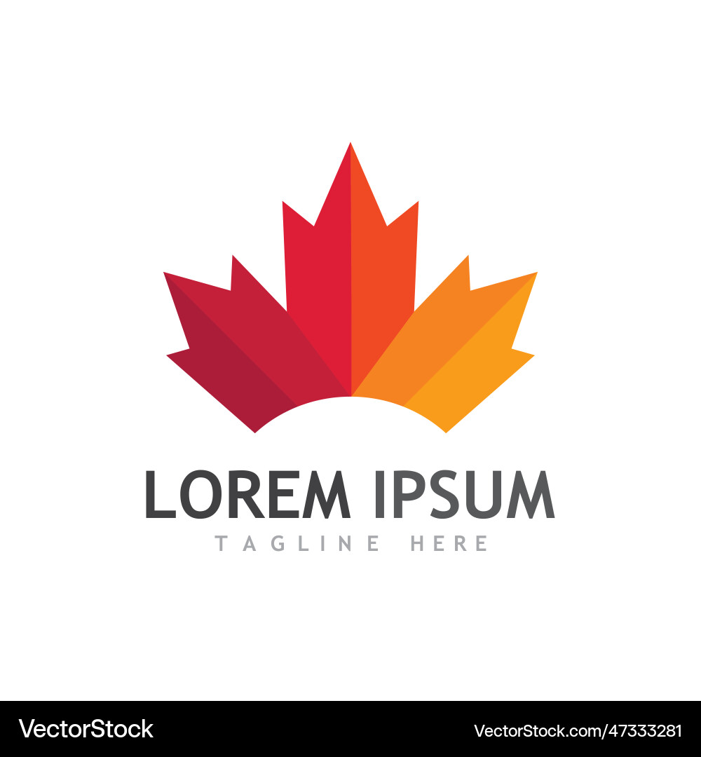 Maple leaf Royalty Free Vector Image - VectorStock