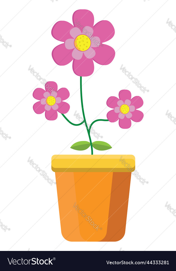 Pink Flowers In Orange Pot On A White Background Vector Image