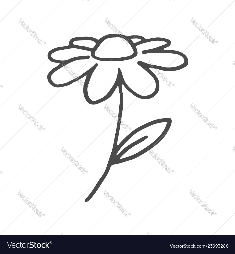 Doodle flower hand drawn line sketch Royalty Free Vector