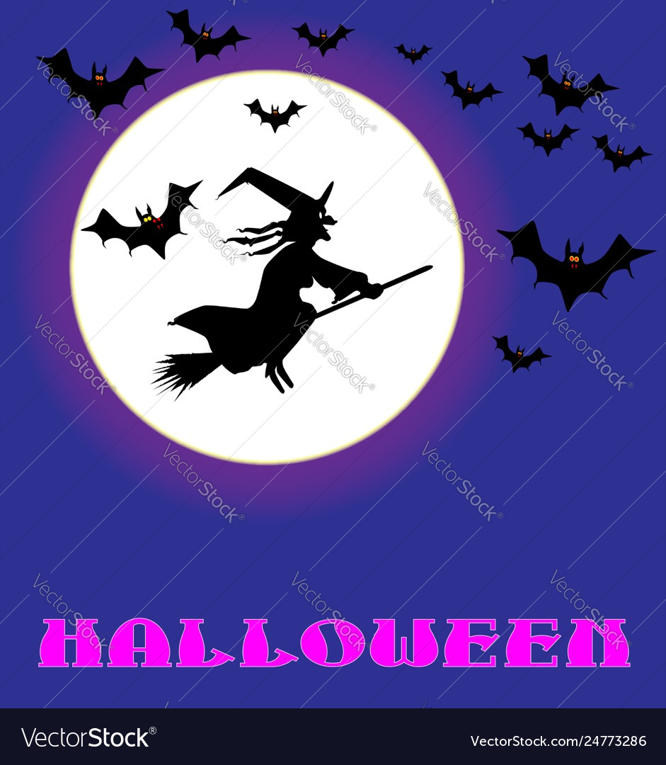 Full moon witch Royalty Free Vector Image - VectorStock