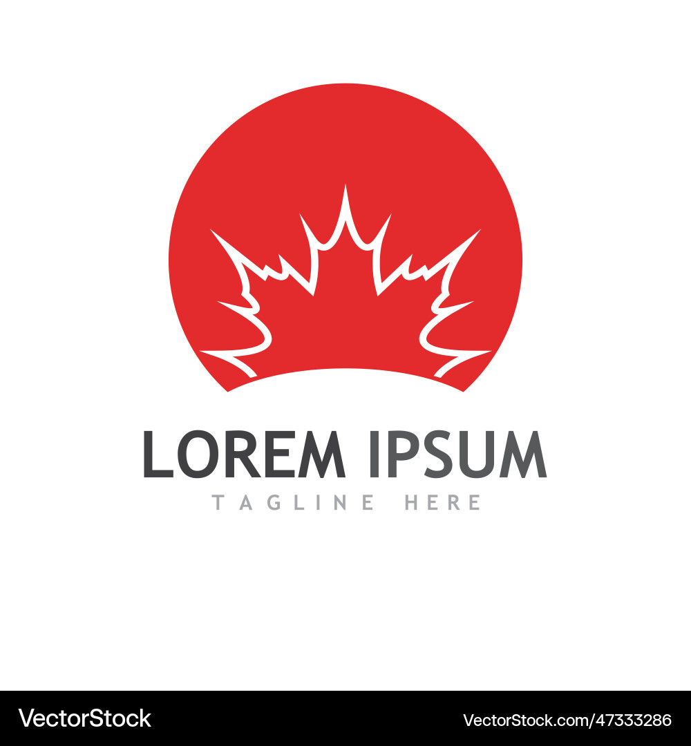Maple leaf Royalty Free Vector Image - VectorStock