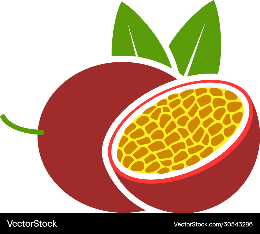 Passion fruit Royalty Free Vector Image - VectorStock