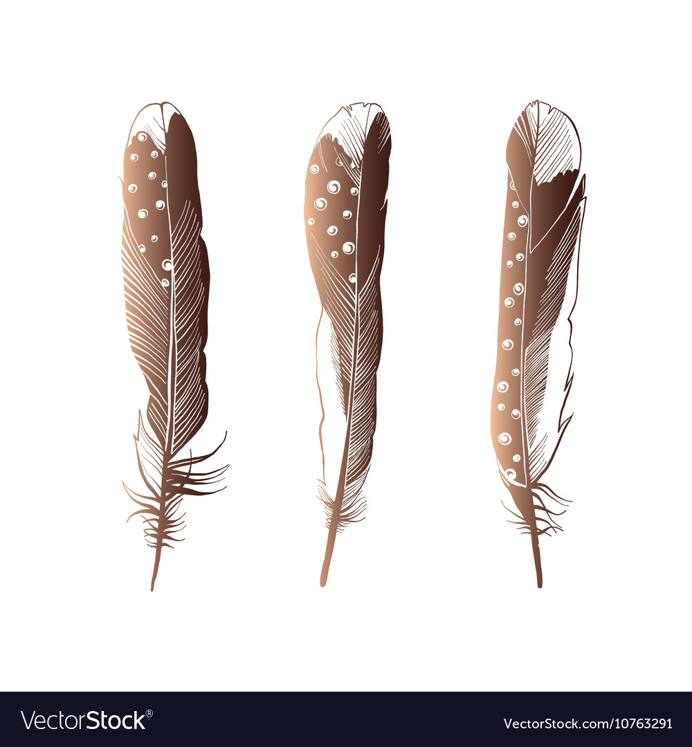 Set of four straight feathers