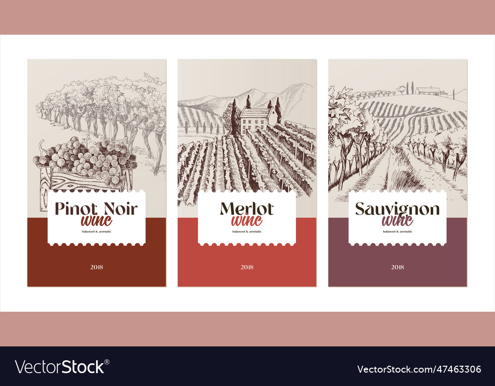 Hand drawn wine labels design templates vector image Hand drawn wine labels design templates