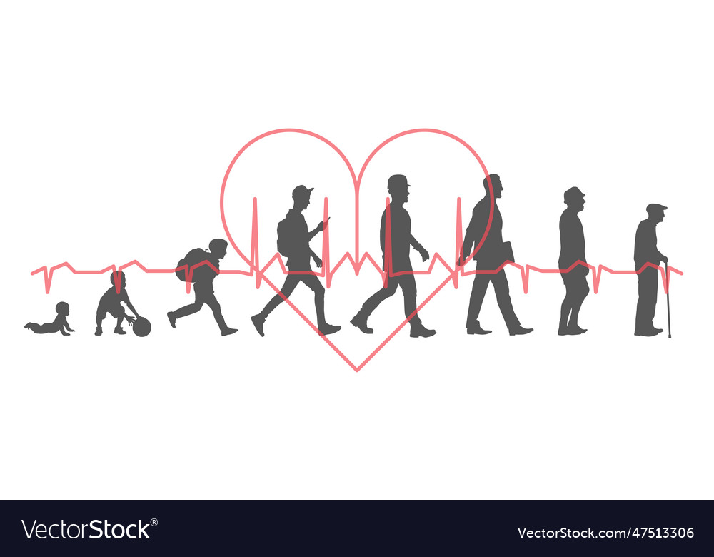 Men stages of development silhouettes against Vector Image