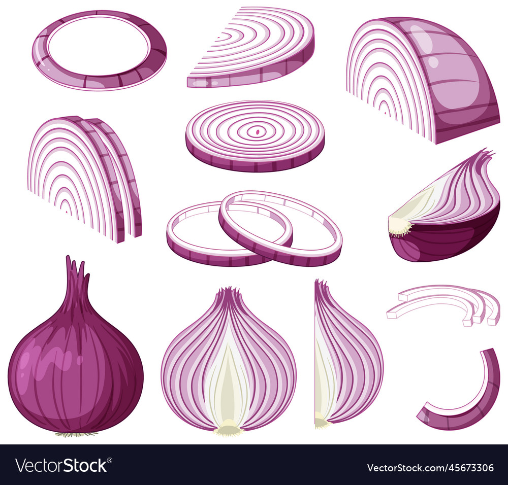 Shallot in whole and sliced pieces Royalty Free Vector Image