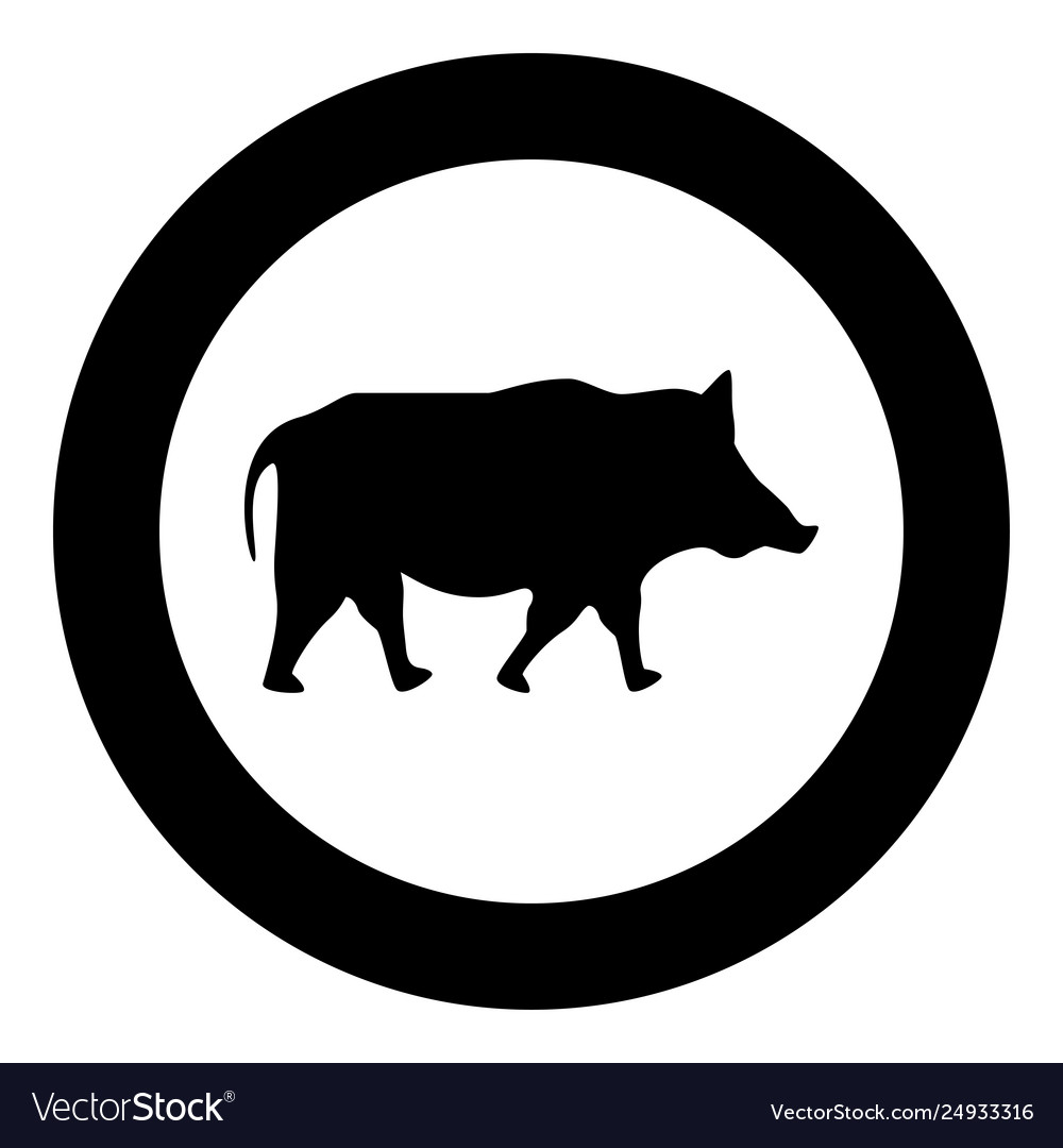 Wild boar wild pig hog warthog icon in circle Vector Image