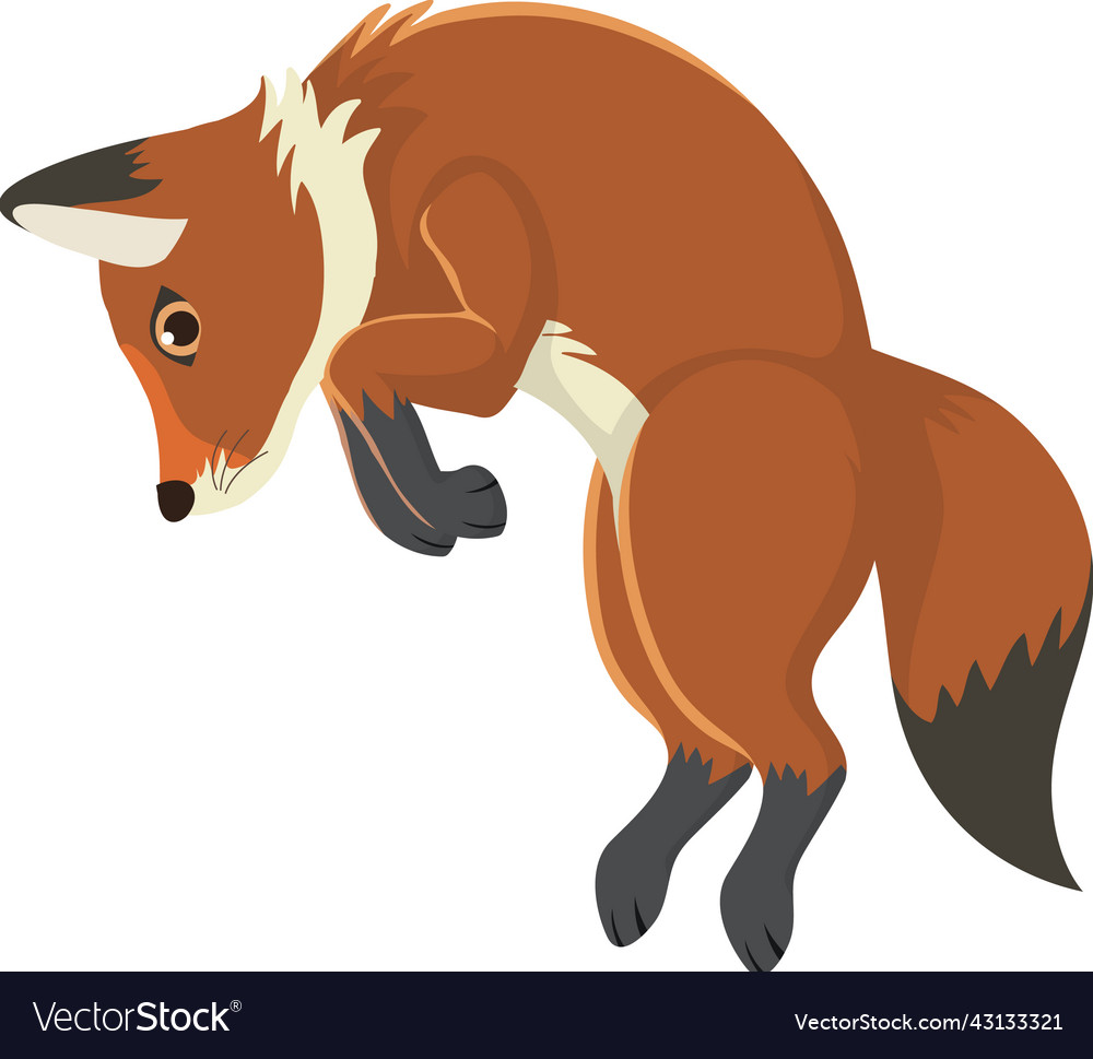 A fox jumping isolated Royalty Free Vector Image