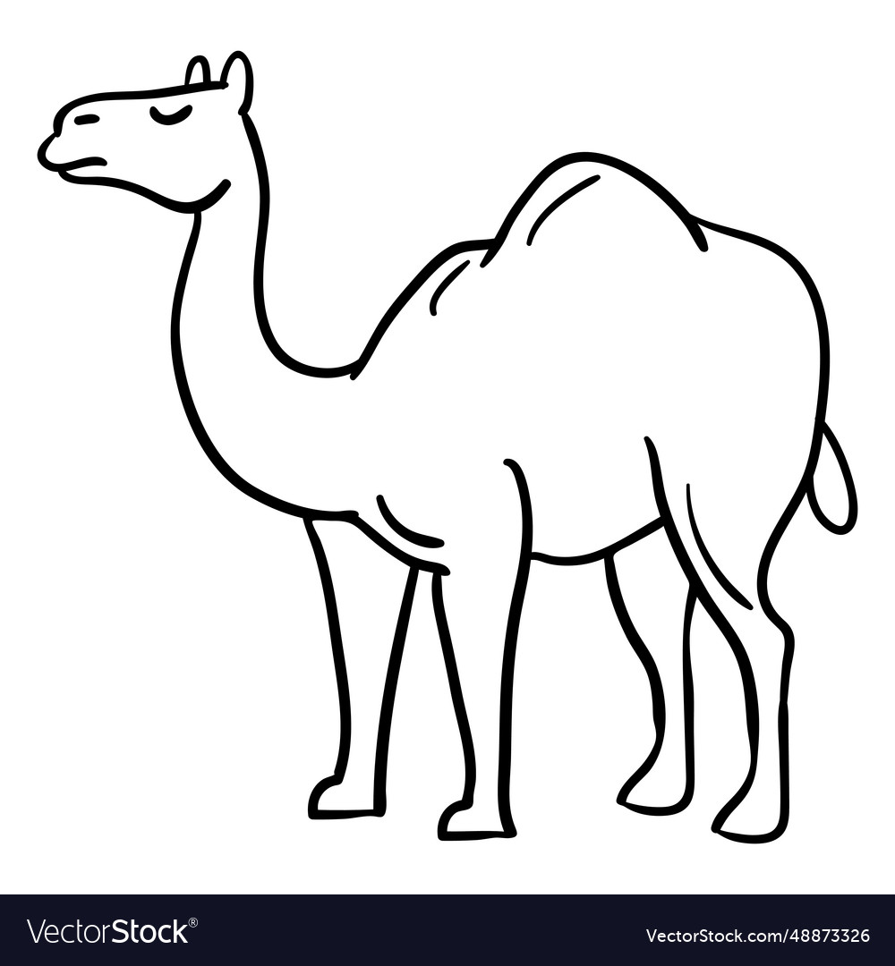 Hand drawn camel egypt symbol stroke Royalty Free Vector