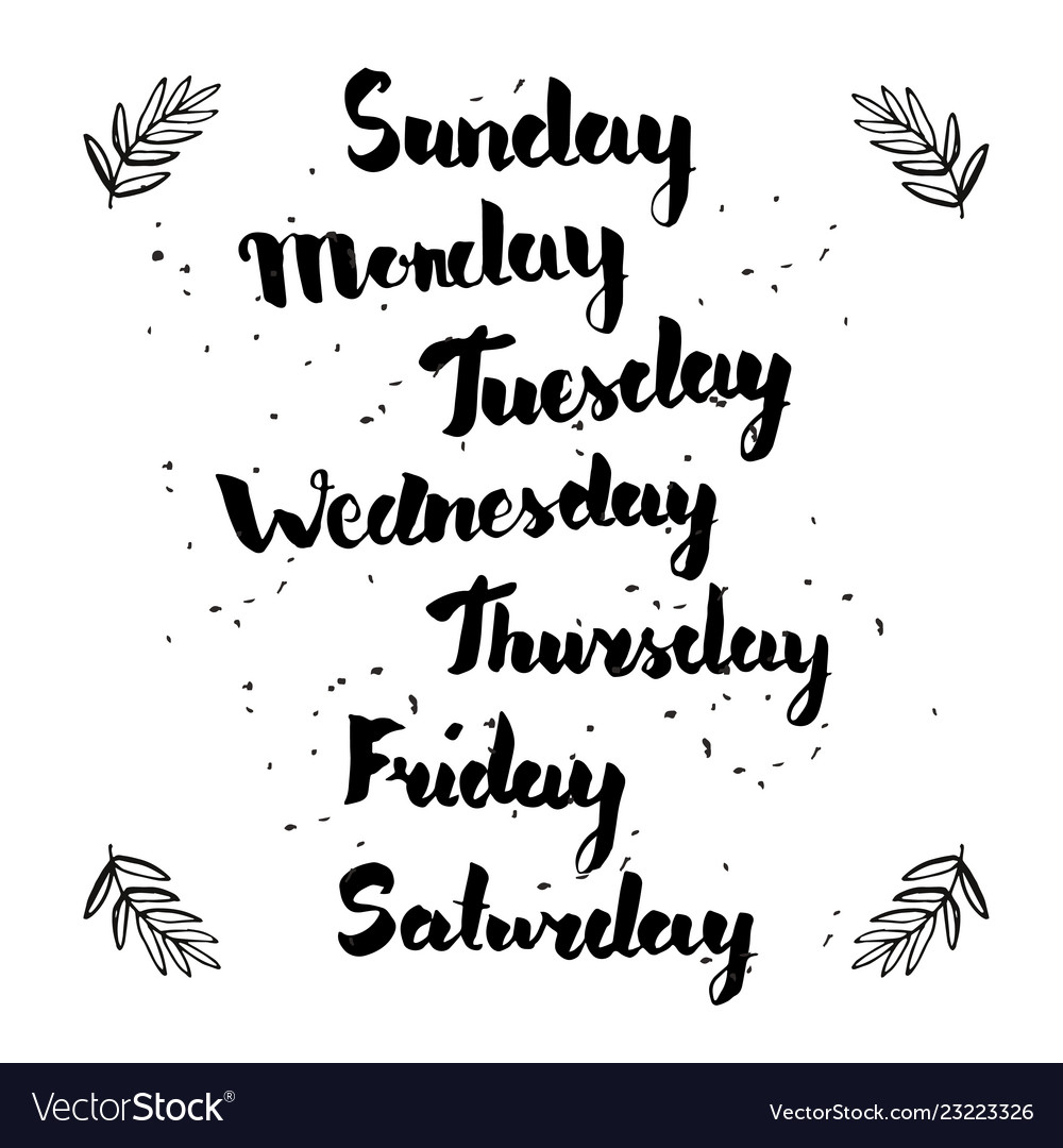 7 days, Sunday, Monday, Tuesday, Wednesday, Thursday, Friday, Saturday on  the white background with little flowers, hand-written, font style,  lettering, calligraphy Stock Vector