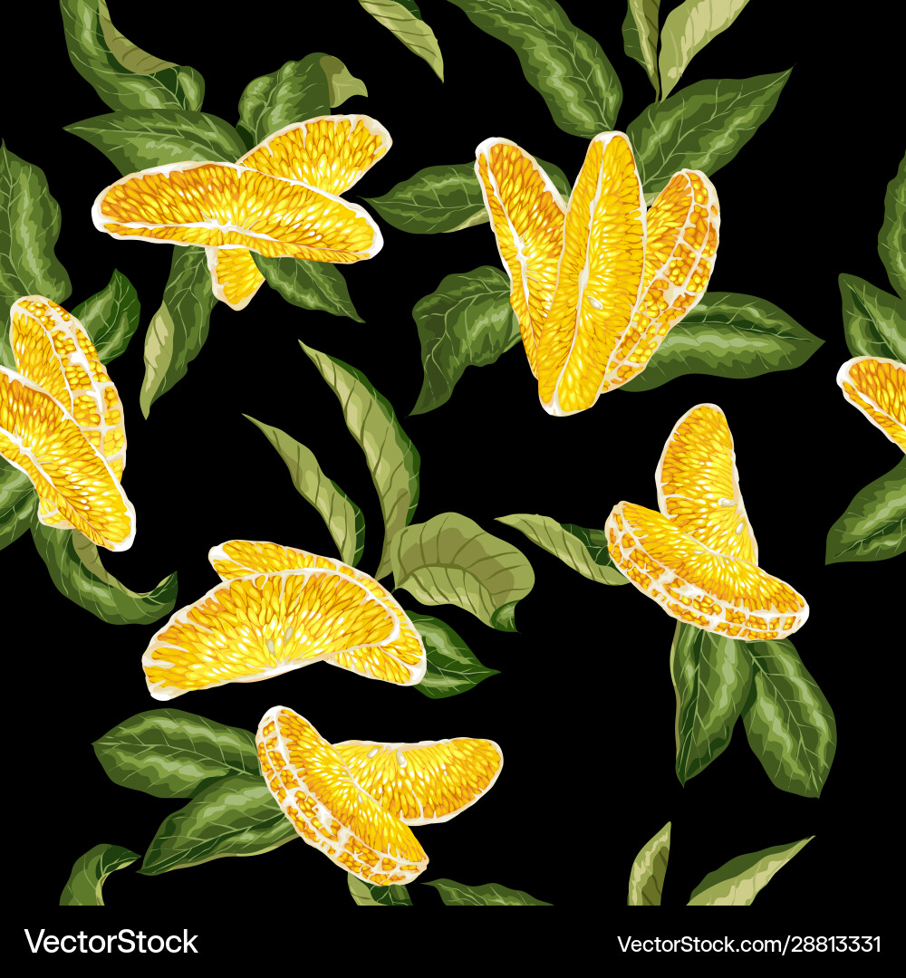 Citrus seamless pattern Royalty Free Vector Image