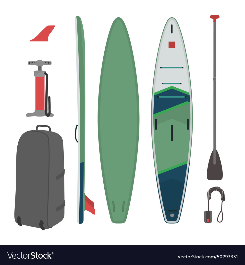 Set of paddleboard accessories board paddle fin Vector Image