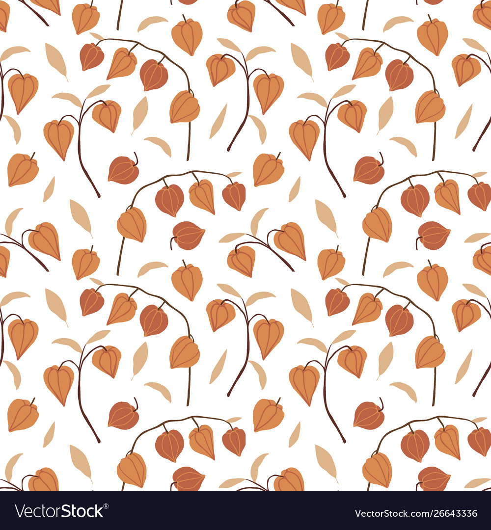 Beautiful hand drawn floral seamless pattern vector image Beautiful hand drawn floral seamless pattern
